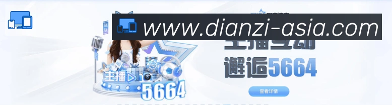 未来规划