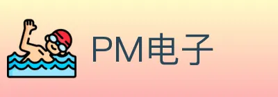 PM电子 logo